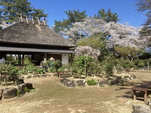 IMG_0139.jpeg