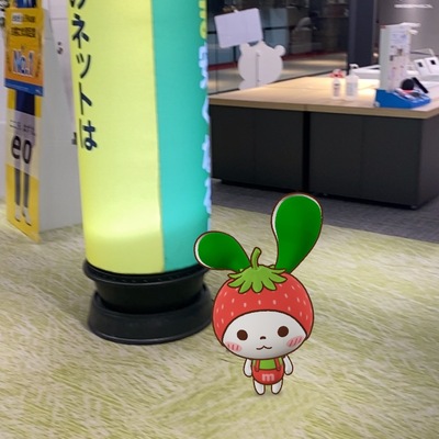 IMG_1304.jpeg