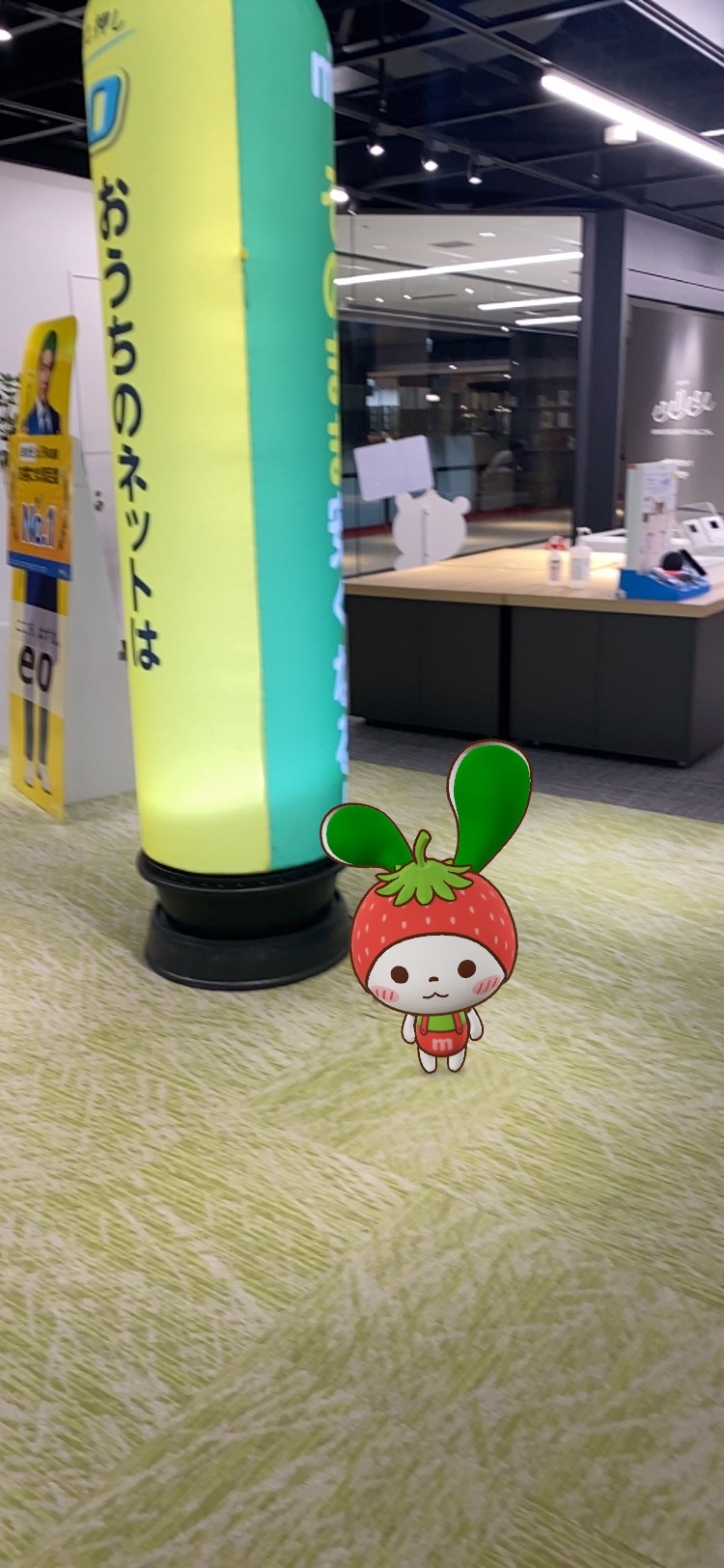 IMG_1304.jpeg
