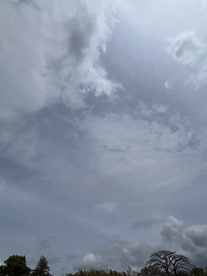 IMG_3001.jpeg