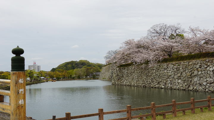 DSC09148.JPG
