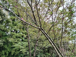 IMG20260410172045.jpg