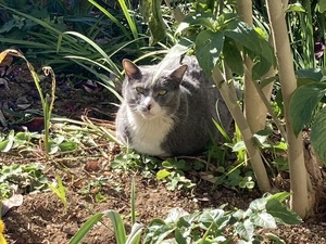 IMG_2408.jpeg