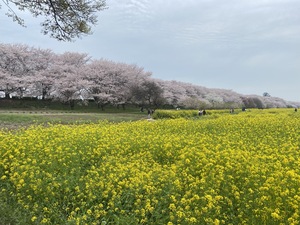 IMG_0703.jpeg