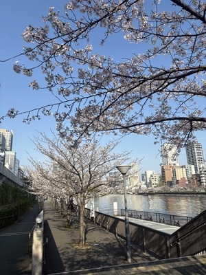 IMG_1914.jpeg