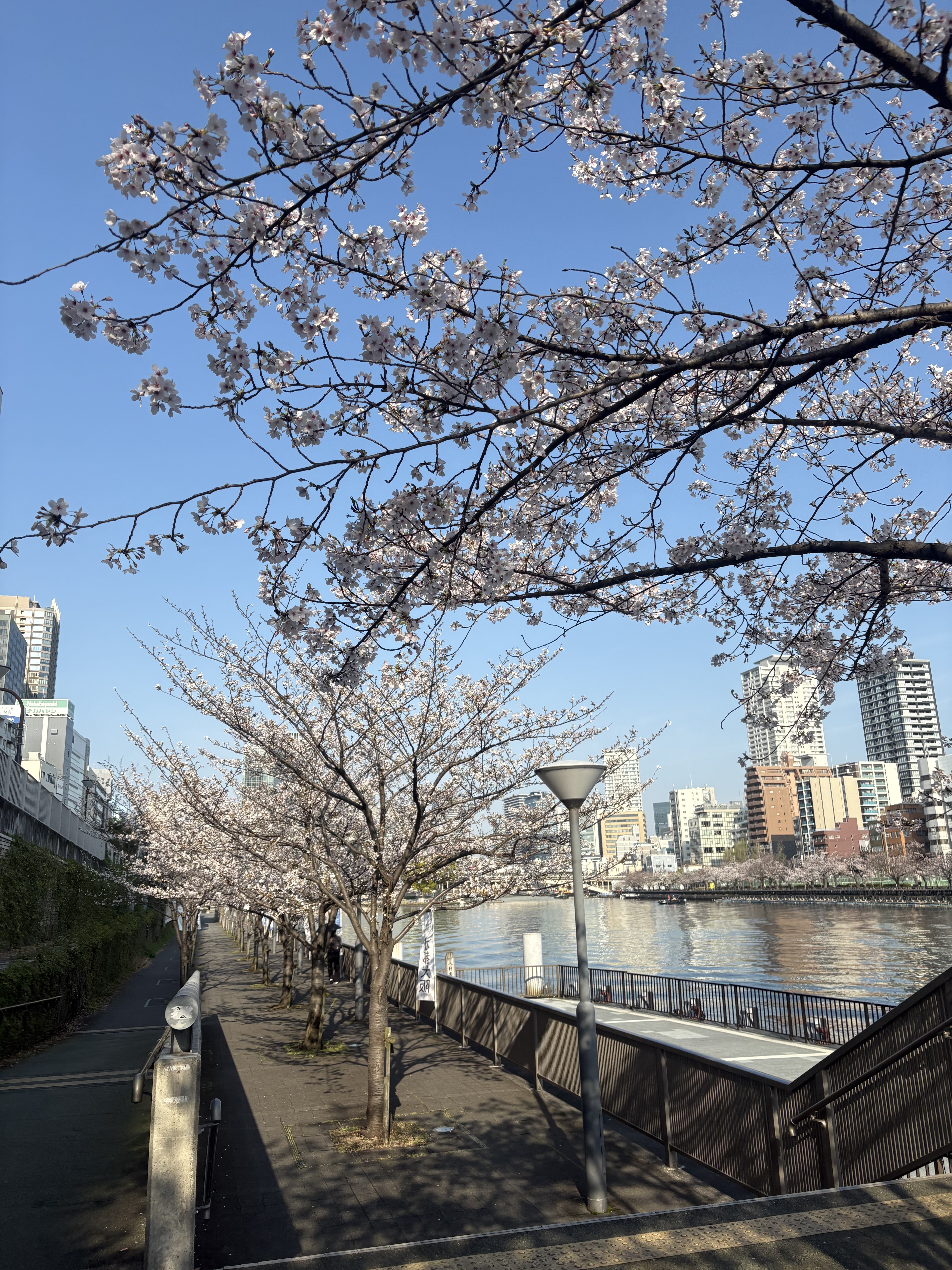 IMG_1914.jpeg