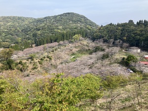 IMG_3921.jpeg