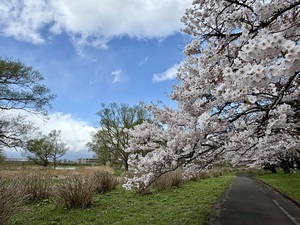 IMG_1491.jpeg