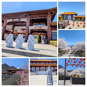 PXL_20260411_021212593-COLLAGE.jpg