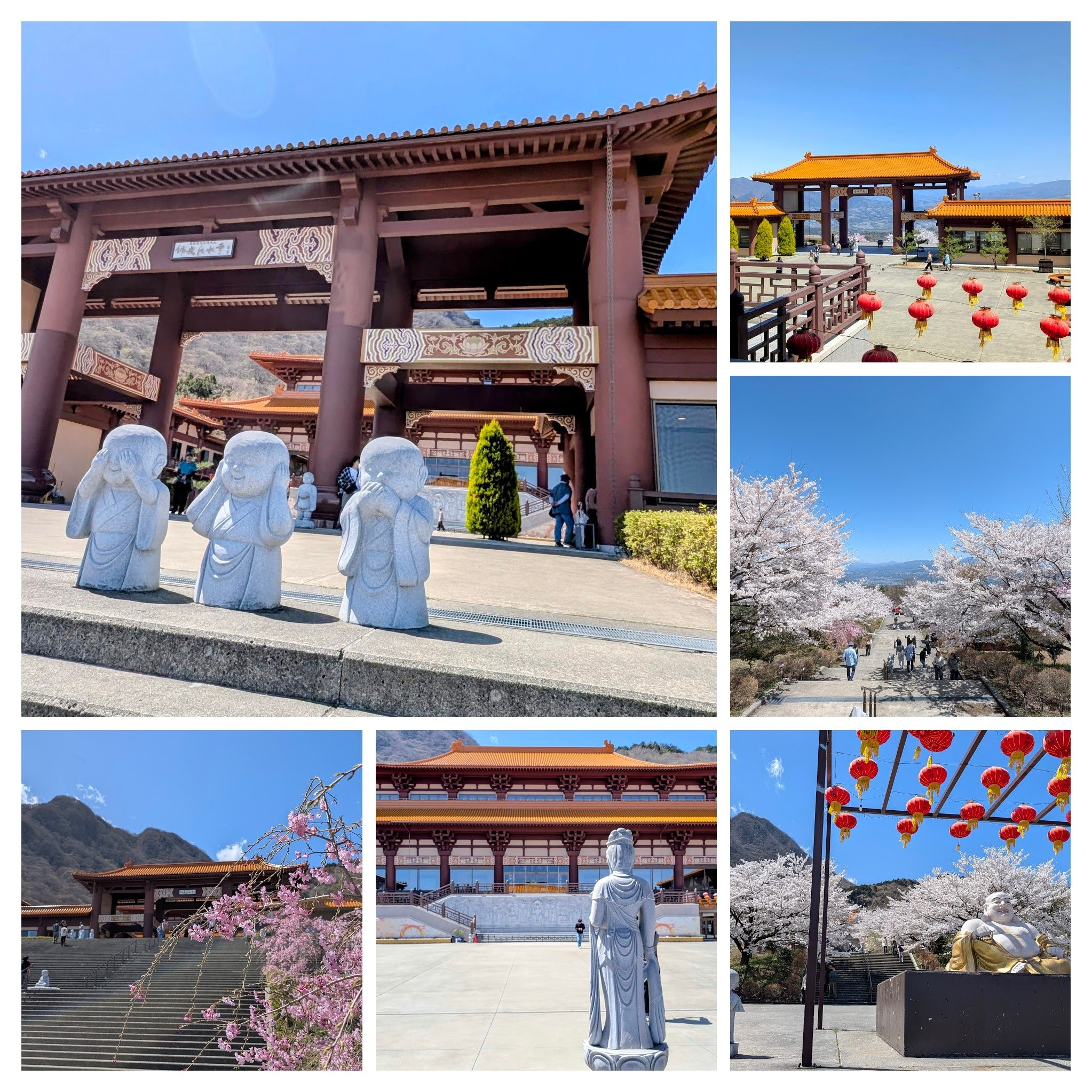 PXL_20260411_021212593-COLLAGE.jpg