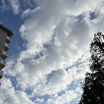 IMG_2996.jpeg