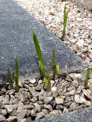 260411181003927.JPG