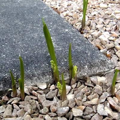 260411181003927.JPG