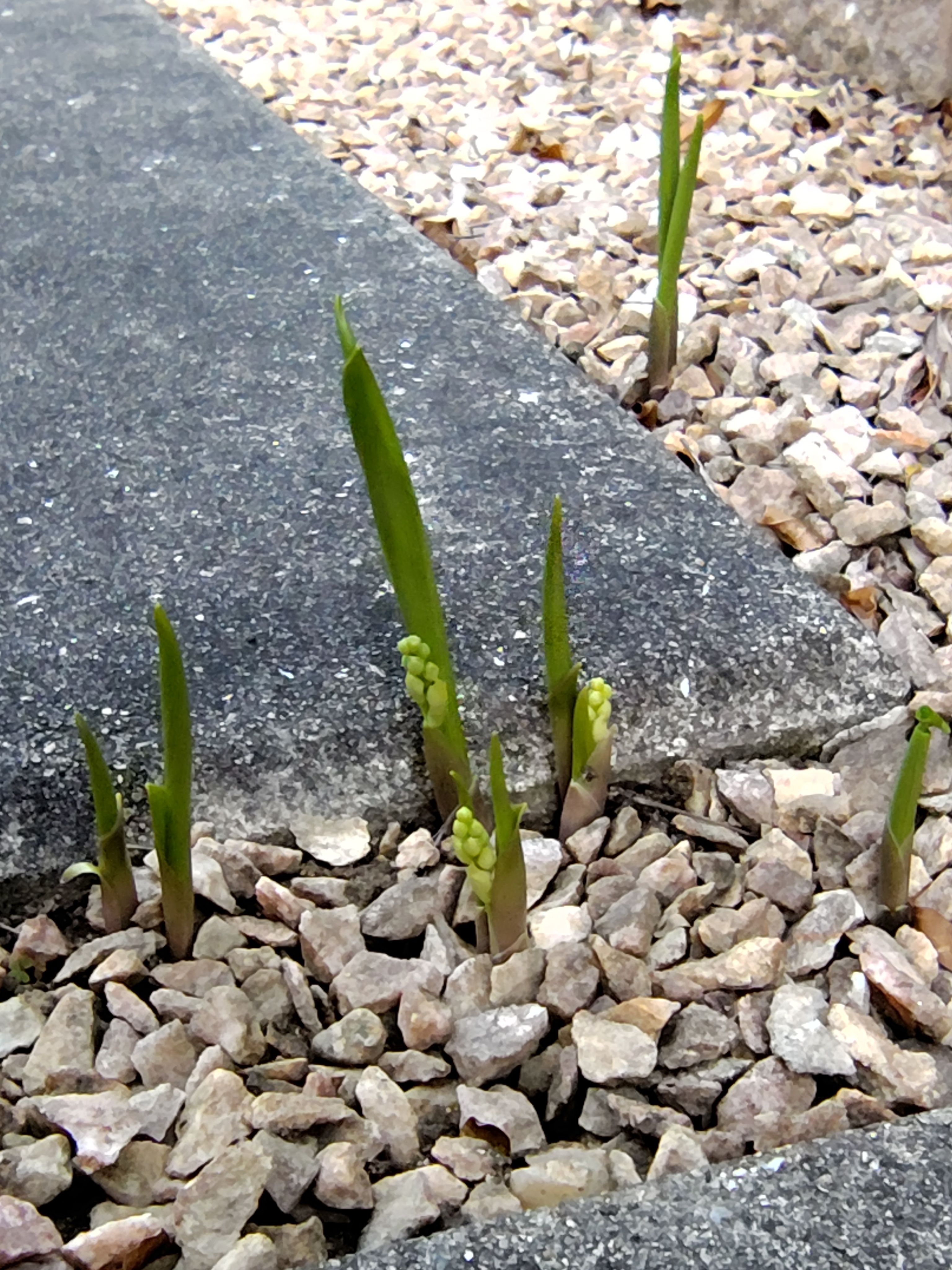 260411181003927.JPG