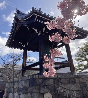 IMG_8006.jpeg