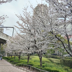IMG20260405133005.jpg
