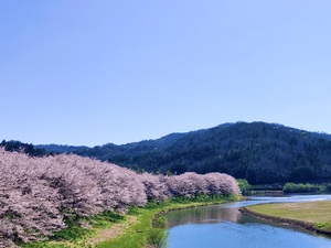 IMG_2761.jpeg