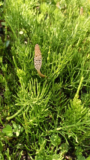 IMG20260411101238.jpg