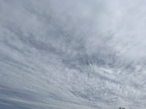 IMG_3013.jpeg