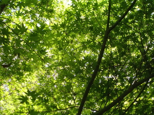DSCN2125.JPG