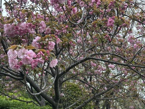 IMG_6323.jpeg