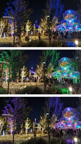 20260411_212041-COLLAGE.jpg