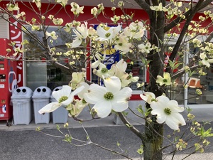 IMG_7326.jpeg