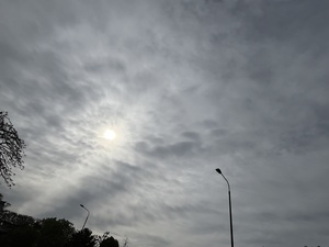 IMG_3014.jpeg