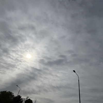IMG_3014.jpeg