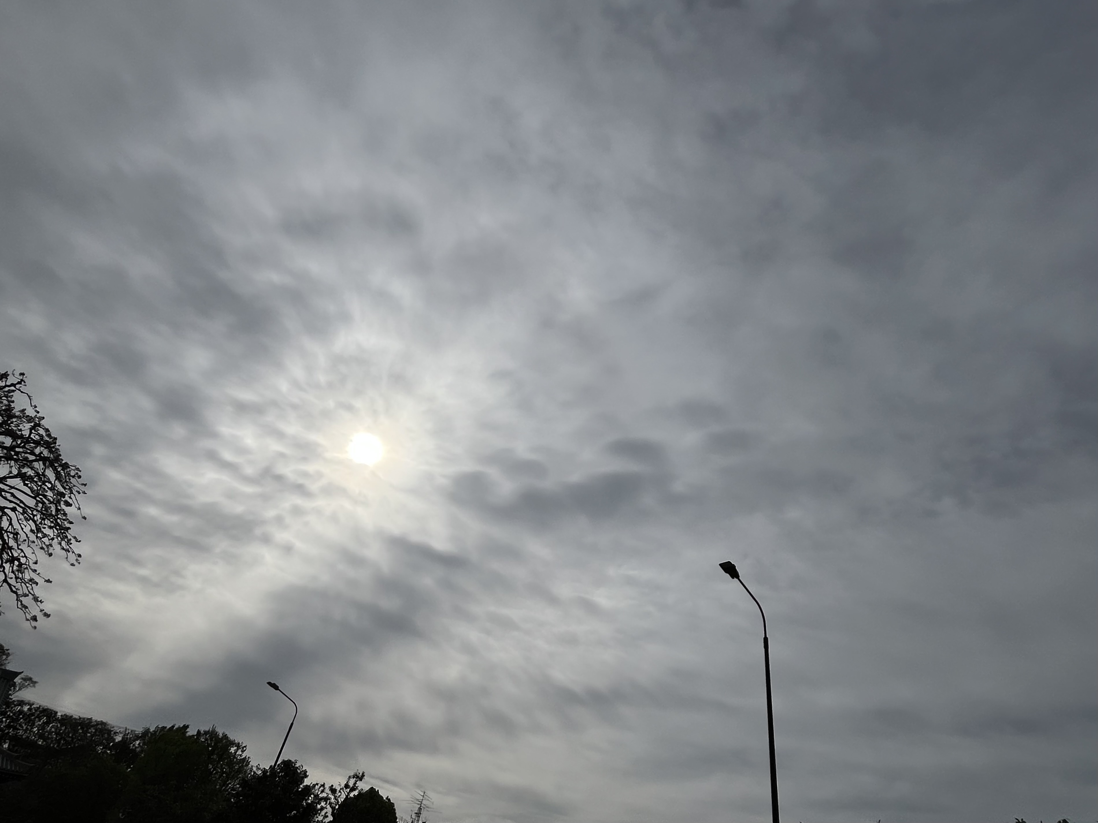 IMG_3014.jpeg
