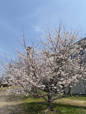 蜀咏悄_2026-03-28_11_56_41.jpg