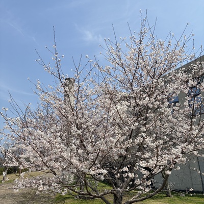 蜀咏悄_2026-03-28_11_56_41.jpg
