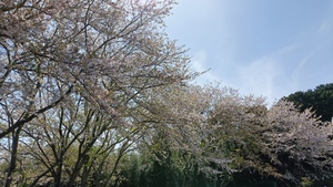 IMG20260411143822.jpg