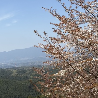 IMG_8394.jpeg