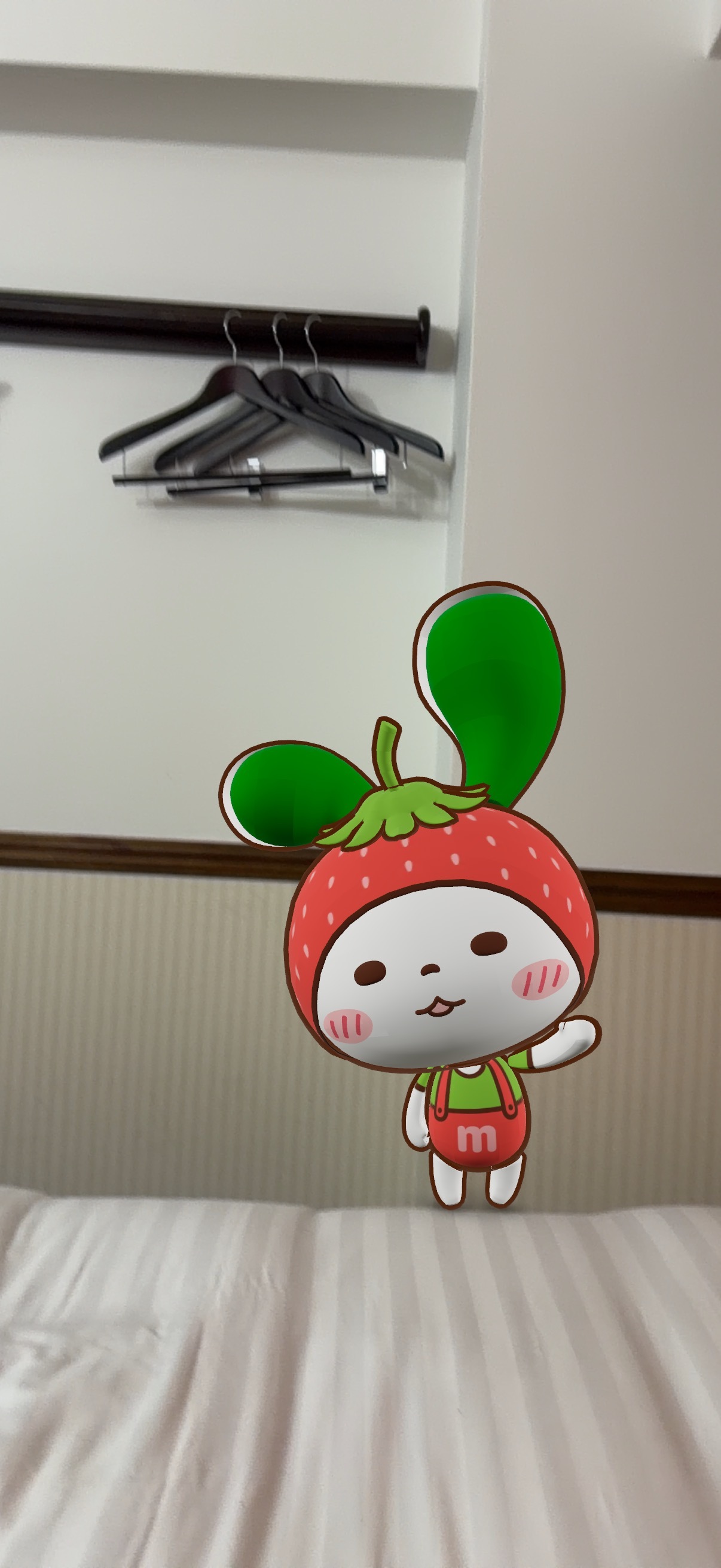IMG_8415.jpeg