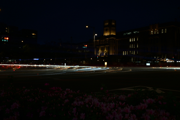 DSC_80552.jpg
