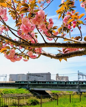 IMG_20260412_134252550_HDR_5.jpg