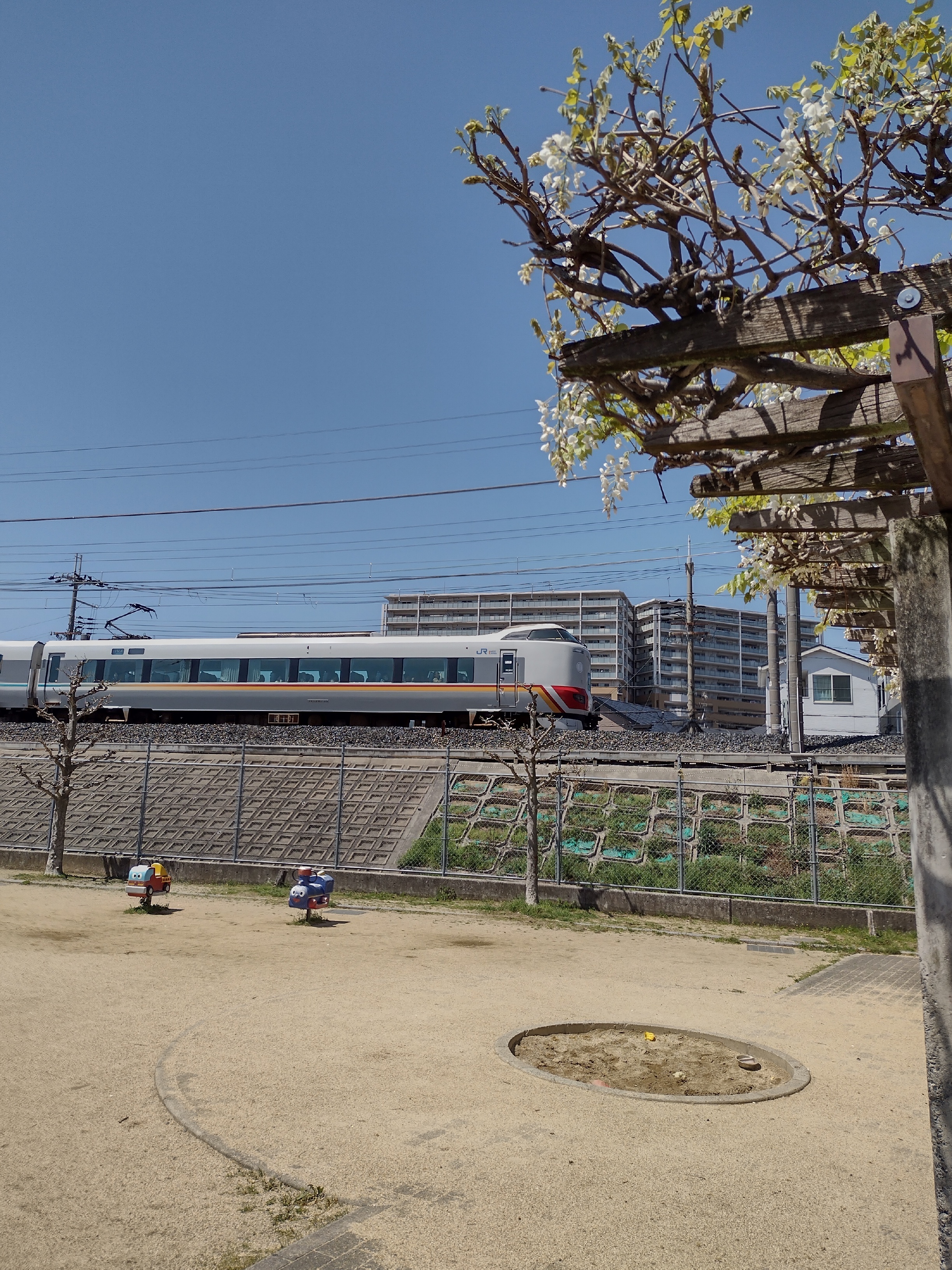 IMG_20260411_122340184_HDR.jpg