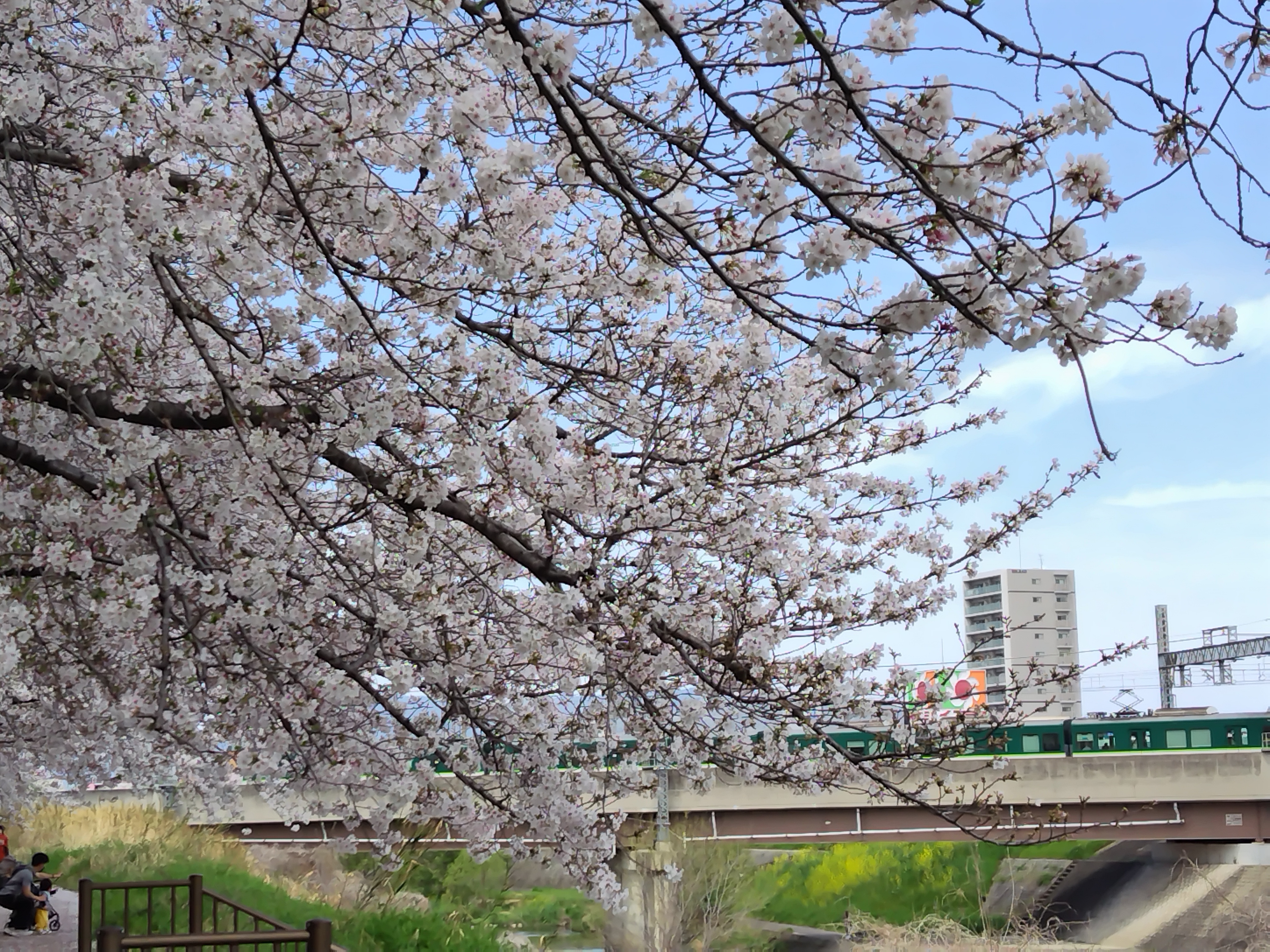 260406124147145.JPG