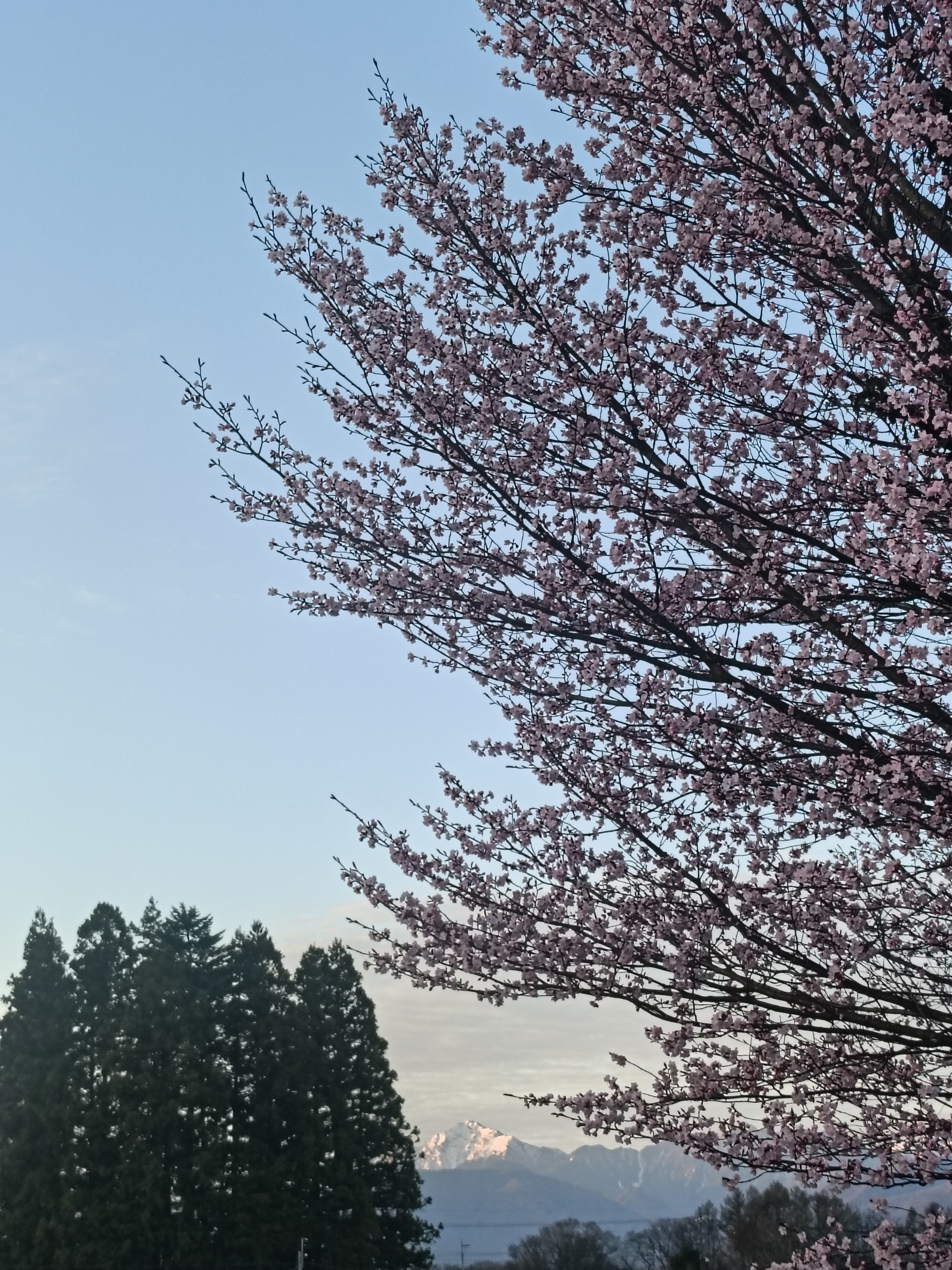 IMG20260414053057.jpg
