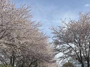 IMG_3062.jpeg