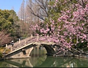 Screenshot_20260407-160938.WeChat_(1).png