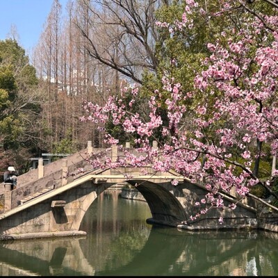 Screenshot_20260407-160938.WeChat_(1).png