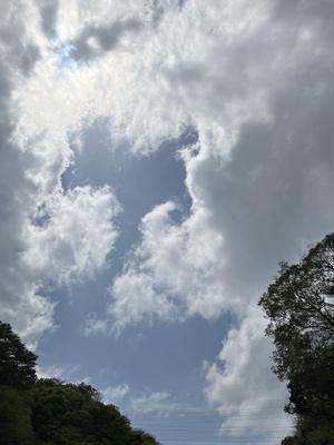 IMG_3025.jpeg