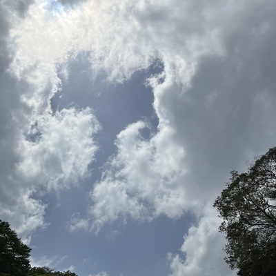 IMG_3025.jpeg