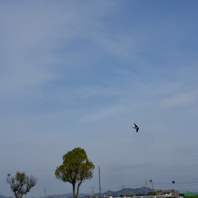 DSC05622.jpeg