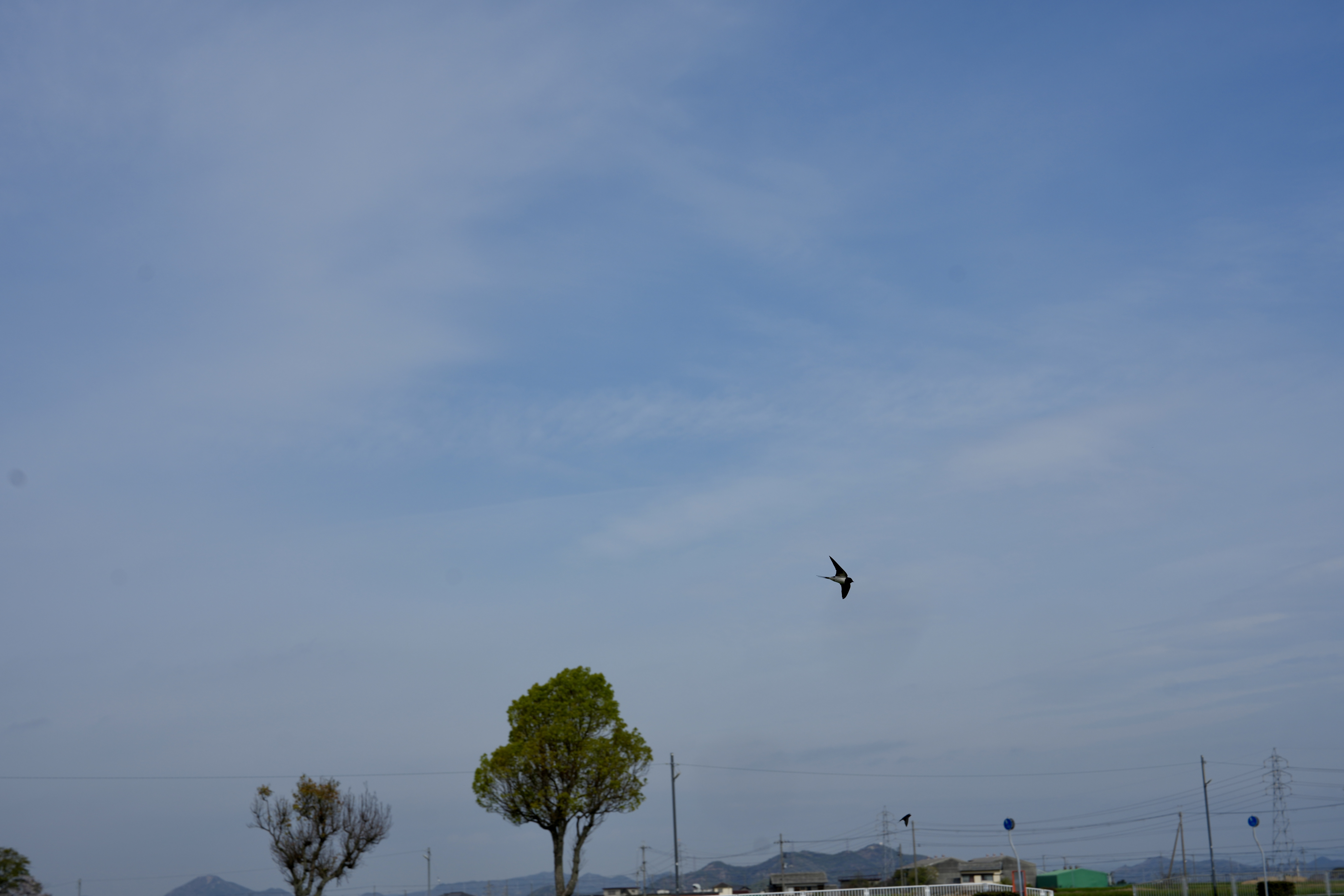 DSC05622.jpeg