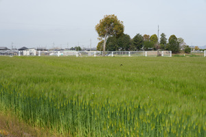 IMG_3640.jpeg