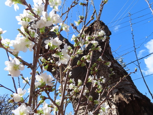 IMG_3378.jpeg
