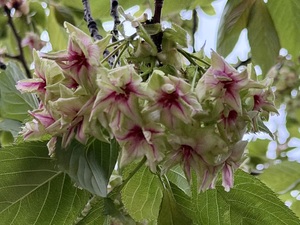 IMG_1567.jpeg